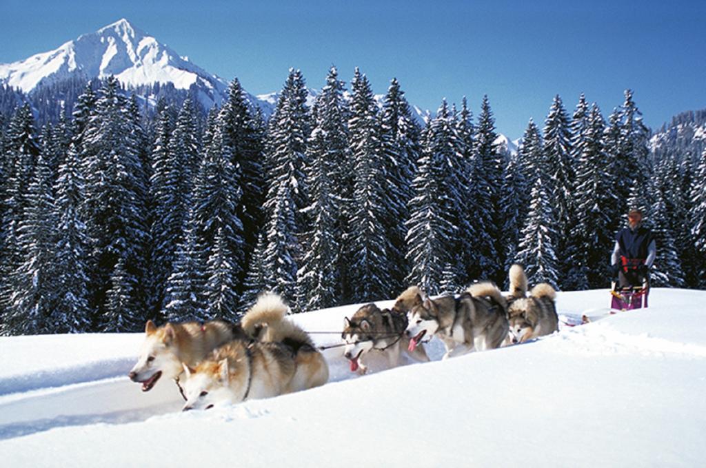 Alpen Select Lodge Kleinwalsertal Рицлерн Екстер'єр фото